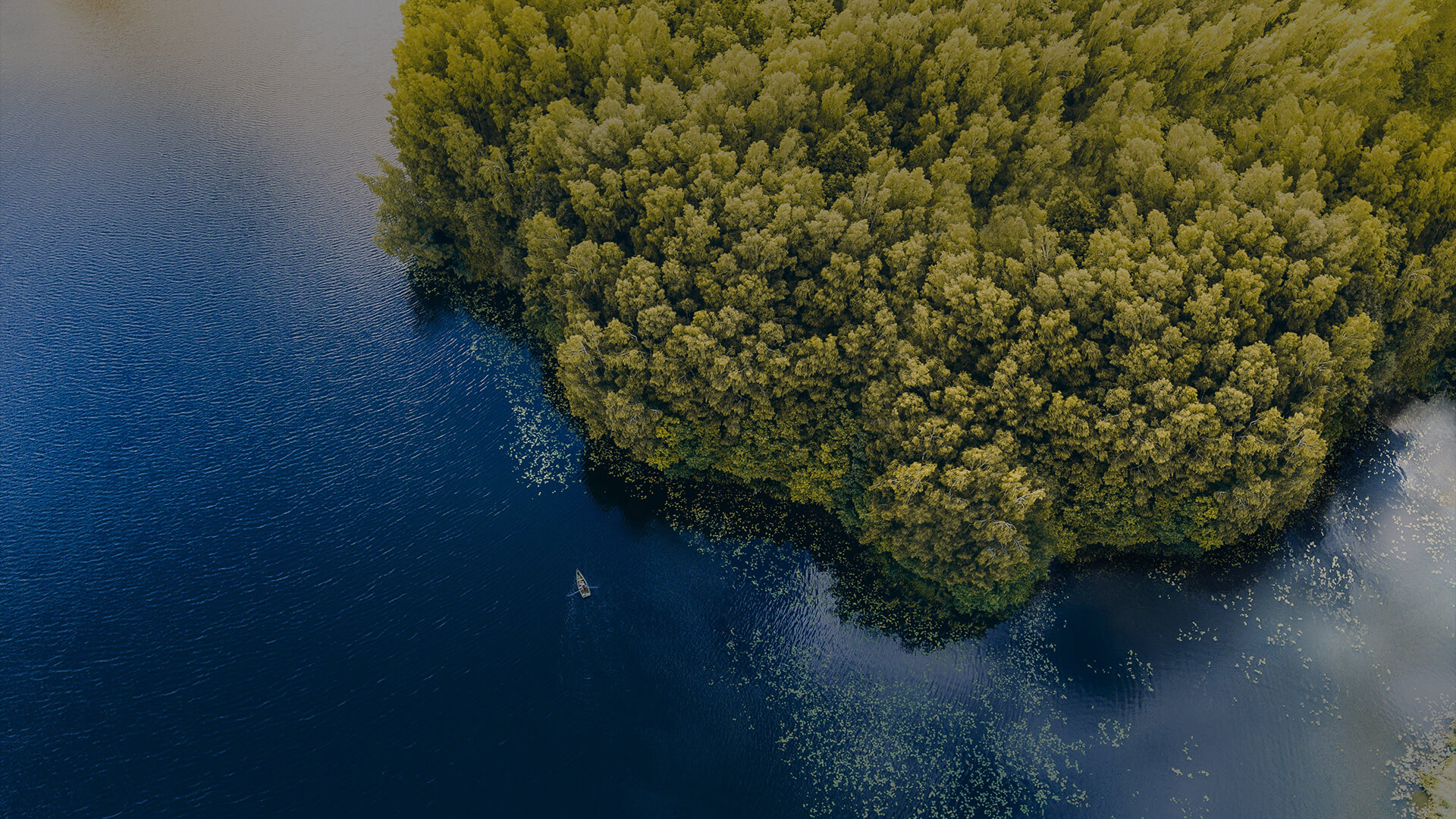 莫干山·象月湖国际休闲度假谷